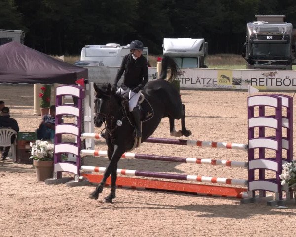 Reitturnier Ranshofen - Braunau am Inn 2023