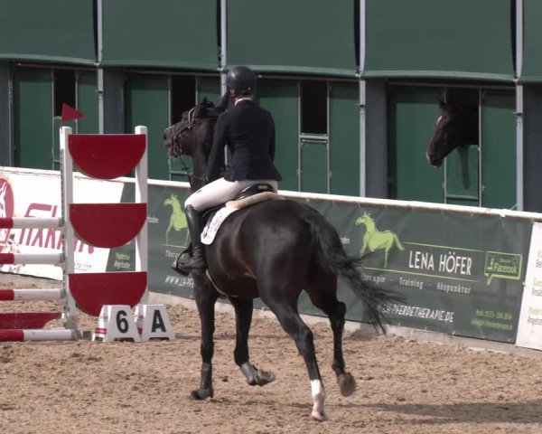 Reitturnier Ranshofen - Braunau am Inn 2023