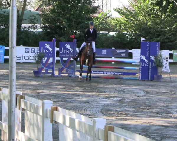 Reitturnier Mildstedt - JTN 2023