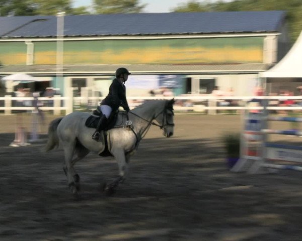 Reitturnier Mildstedt - JTN 2023