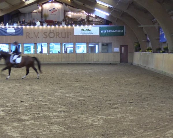 Reitturnier Sörup 2023