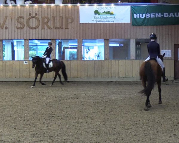 Reitturnier Sörup 2023