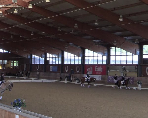 Reitturnier Köln-Leverkusen 2023