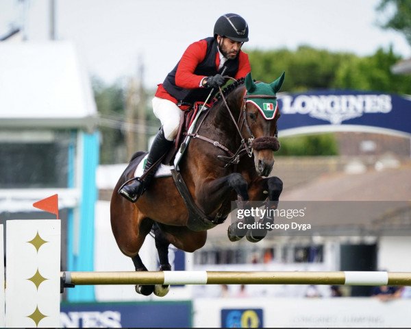 jumper Yoga Santa Rosa (unknown, 2012, from Eldorado van de Zeshoek)