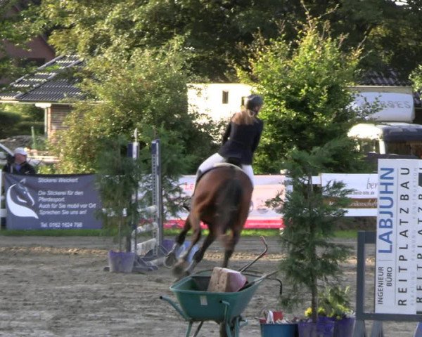 Reitturnier Mildstedt - JTN 2023