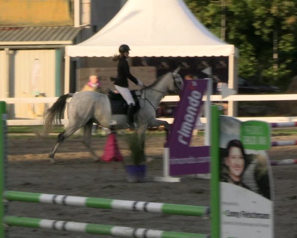 Reitturnier Mildstedt - JTN 2023