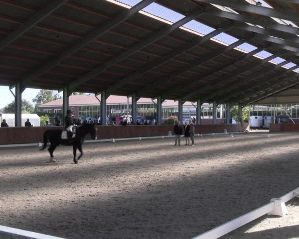 Reitturnier Langenfeld - Gut Langfort 2023