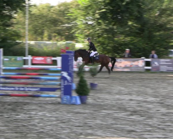 Reitturnier Mildstedt - JTN 2023