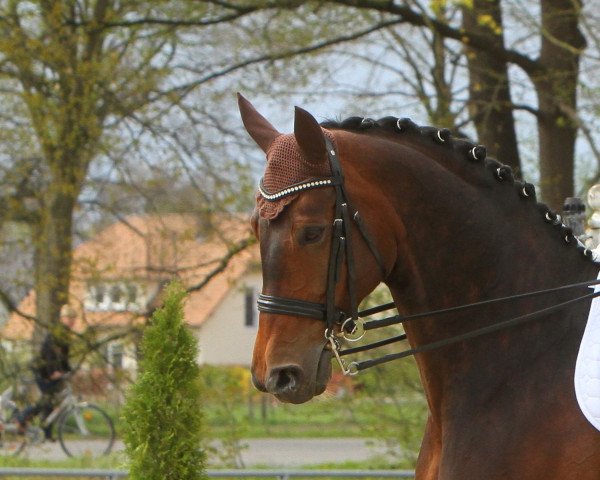 broodmare Rania (Hanoverian, 2006, from Rascalino)