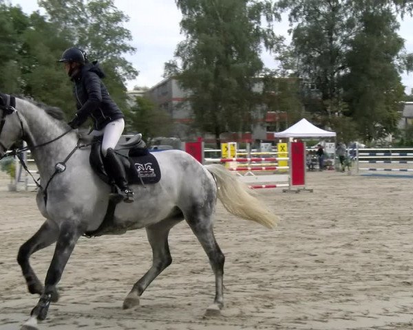 Reitturnier Stadt Bregenz 2023