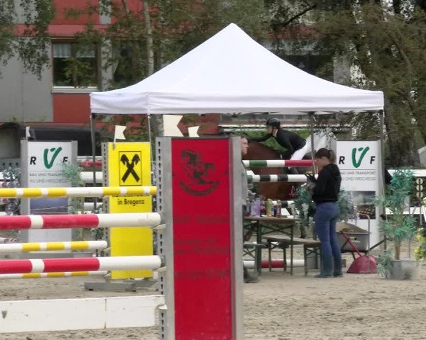 Reitturnier Stadt Bregenz 2023