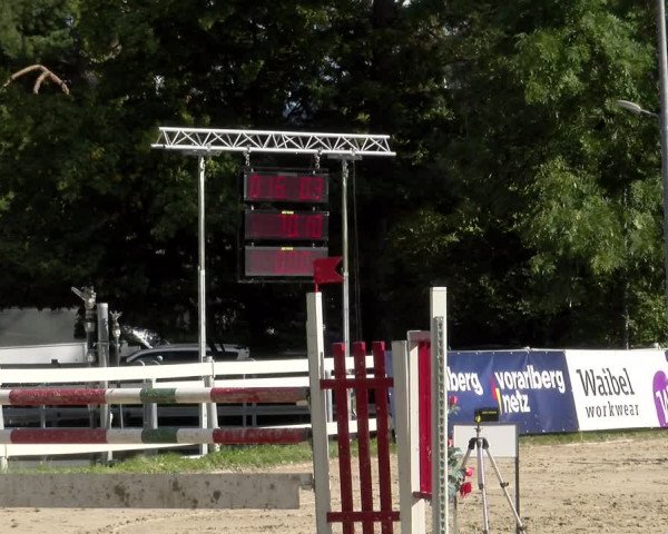 Reitturnier Stadt Bregenz 2023