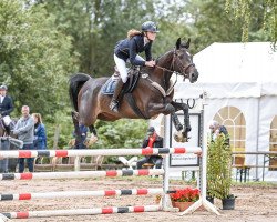 jumper Quibell 39 (Holsteiner, 2018, from Quibery 3)