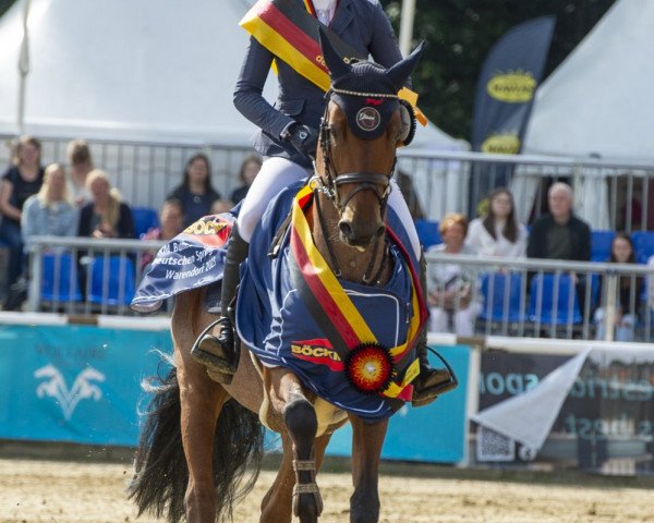 Springpferd del Toro K (Deutsches Reitpony, 2017, von Del Piero 25)