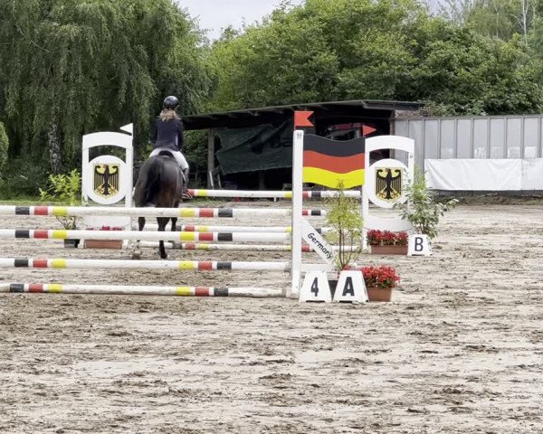 Reitturnier Neuss-Uedesheim 2023