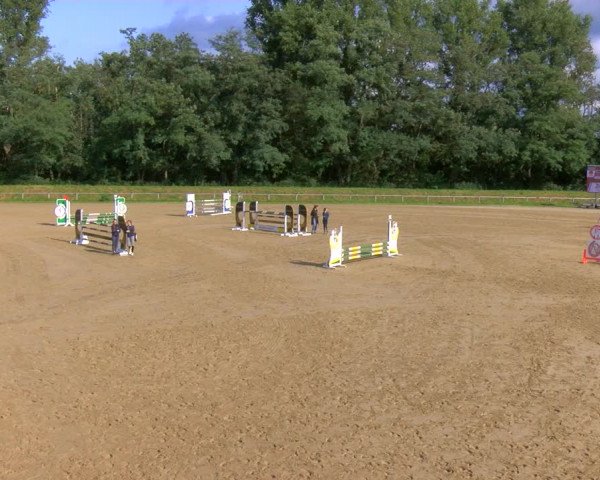 Reitturnier Köln-Leverkusen 2023