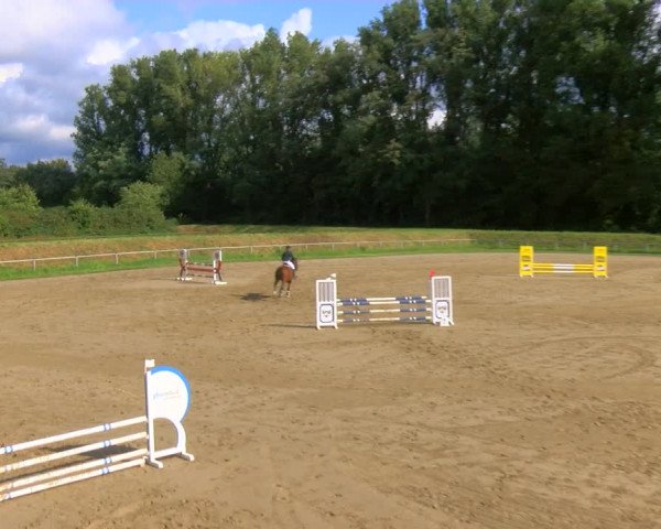 Reitturnier Köln-Leverkusen 2023