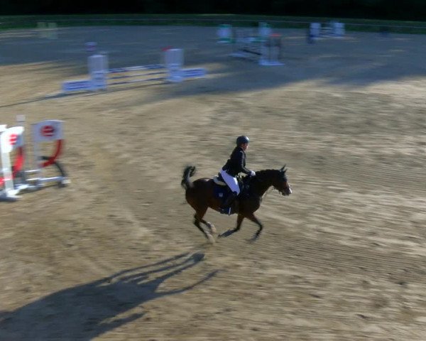 Equestrian Show Köln-Leverkusen 2023