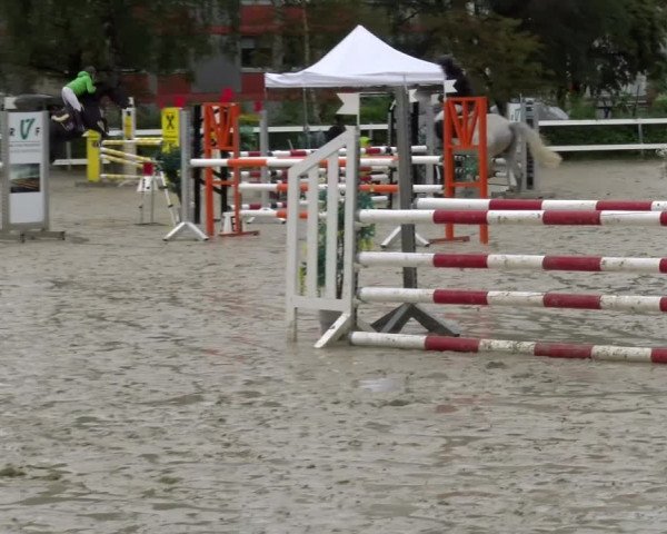 Reitturnier Stadt Bregenz 2023
