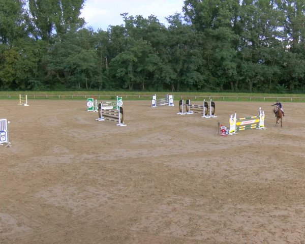 Reitturnier Köln-Leverkusen 2023