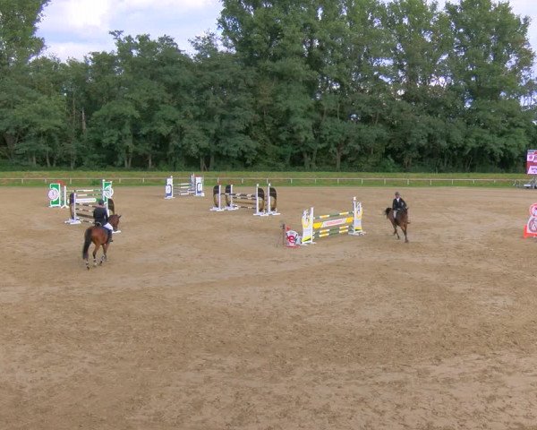 Reitturnier Köln-Leverkusen 2023