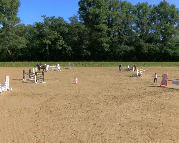 Reitturnier Köln-Leverkusen 2023