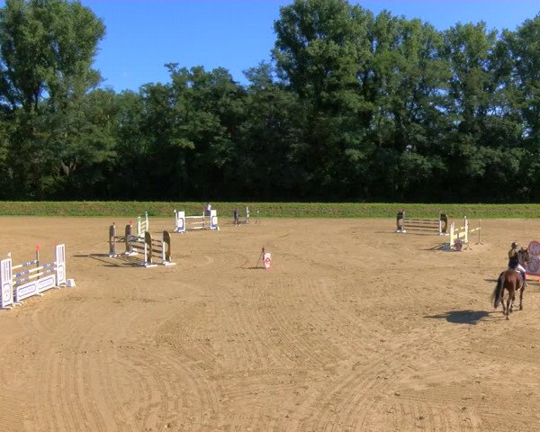 Reitturnier Köln-Leverkusen 2023