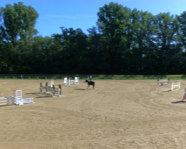 Reitturnier Köln-Leverkusen 2023