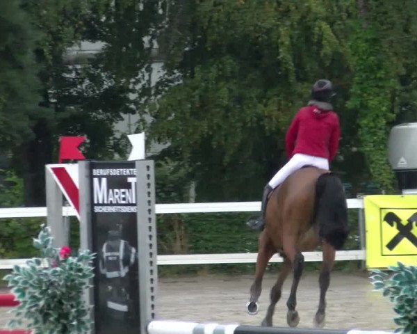 Reitturnier Stadt Bregenz 2023