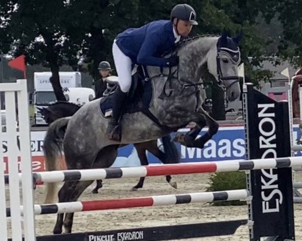 jumper Quincy M 3 (German Riding Pony, 2017, from Quaterback's Junior)