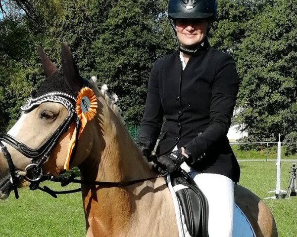 broodmare Top Pannacotta (German Riding Pony, 2019, from Top Champion)