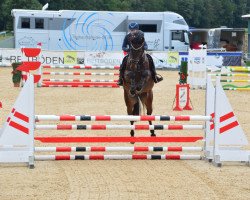 Springpferd Charity Vilonya (Österreichisches Warmblut, 2015, von FBW Cayton)