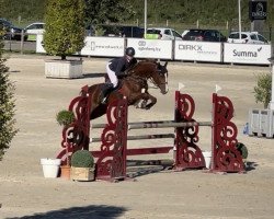 jumper Call me Cora (Oldenburg show jumper, 2016, from Coupe de Coeur 2)