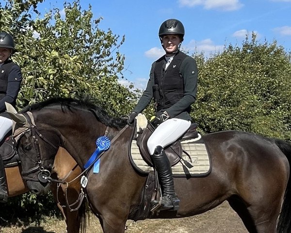 Springpferd I'm Special In Brown (Westfale, 2018, von I'm Special de Muze)