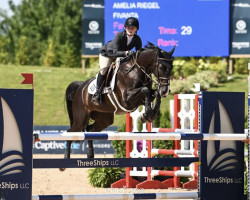 jumper Fivanta (KWPN (Royal Dutch Sporthorse), 2010, from Wittinger)