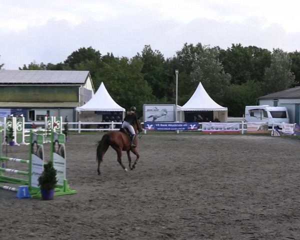 Reitturnier Mildstedt - JTN 2023