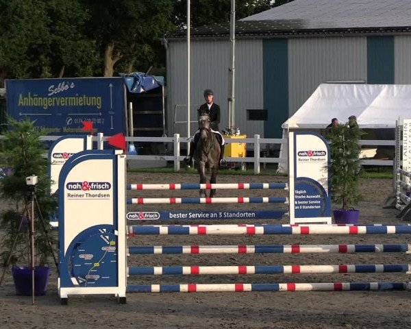 Reitturnier Mildstedt - JTN 2023