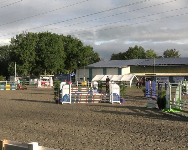 Reitturnier Mildstedt - JTN 2023