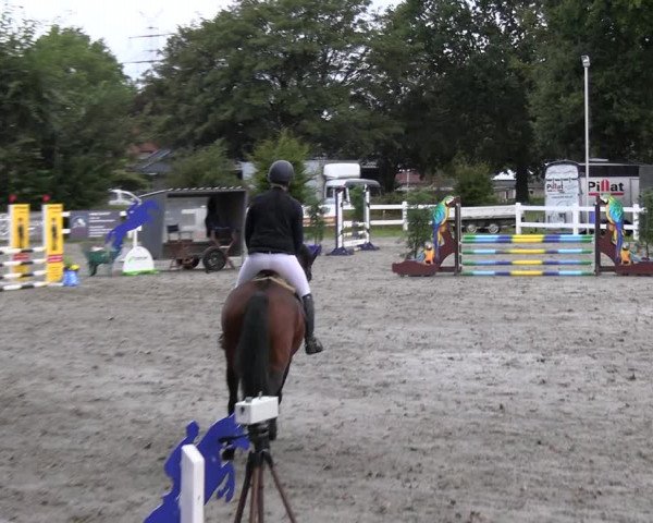 Reitturnier Mildstedt - JTN 2023