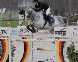 broodmare Hamburg (Holsteiner, 2015, from Cannavaru)