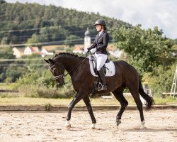 horse Romero 125 (German Sport Horse, 2017, from Ricardo Star)