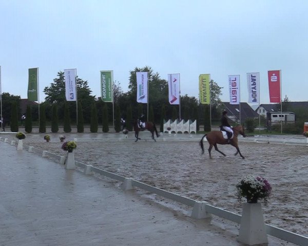 Reitturnier Meinerzhagen 2021
