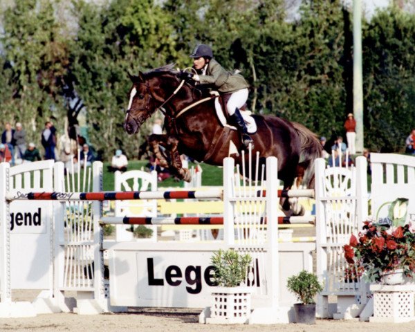 horse Osilvis (KWPN (Royal Dutch Sporthorse), 1996, from Silvio II)