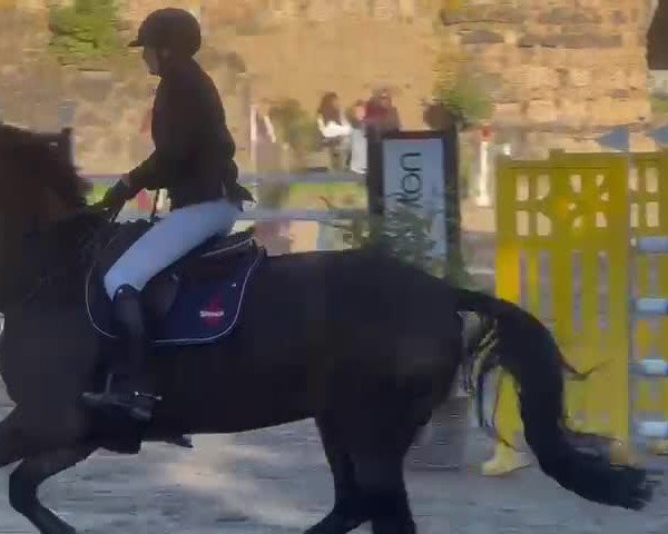 Video von New Classic S