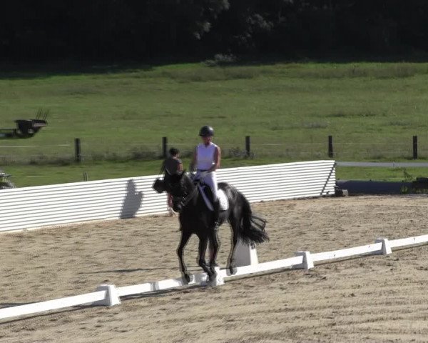 Reitturnier Bad Schmiedeberg 2023