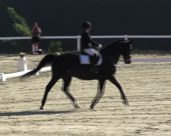 Reitturnier Bad Schmiedeberg 2023