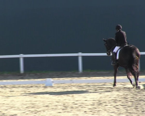 Reitturnier Bad Schmiedeberg 2023