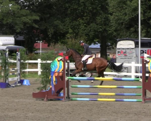 Reitturnier Mildstedt - JTN 2023