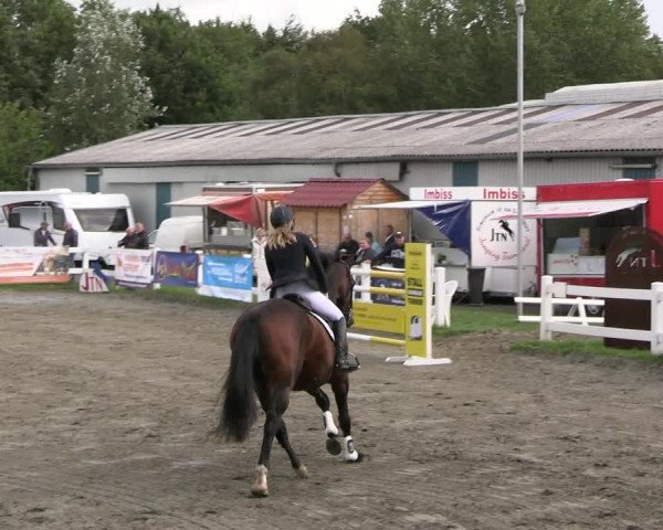 Reitturnier Mildstedt - JTN 2023