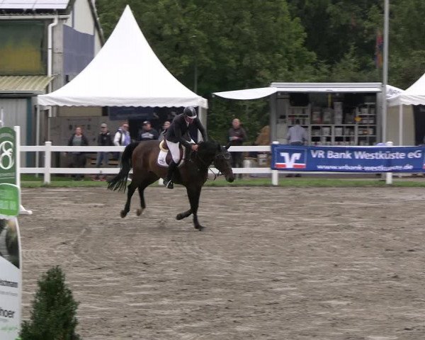 Reitturnier Mildstedt - JTN 2023